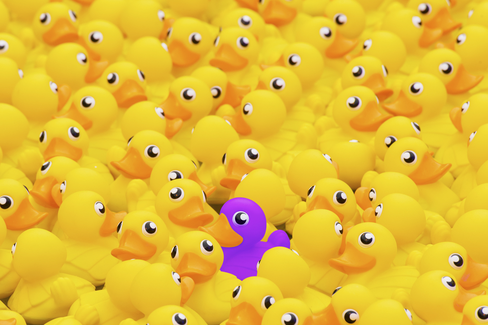 Searching for the Purple Duck The Content Advisory Robert Rose ducks rubber ducky